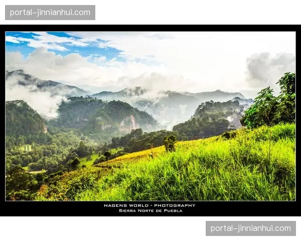 墨西哥高原主场优势显著 球队需适应不同海拔比赛环境